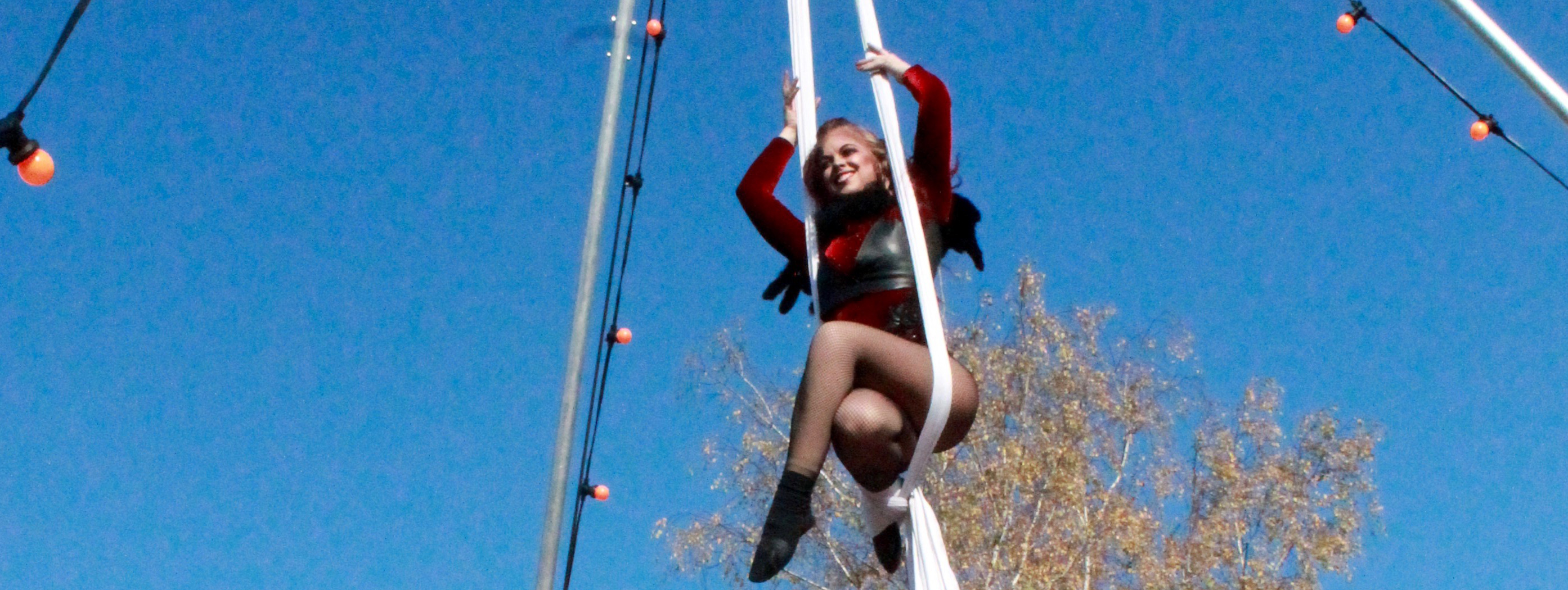 Carline acrobate aerienne acrobatique